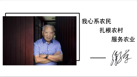 徐文荣：一位老党员和他的“三农”梦